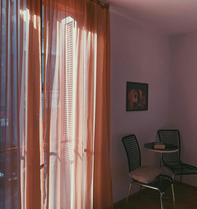 pexels-didsss-3034738 (1)
